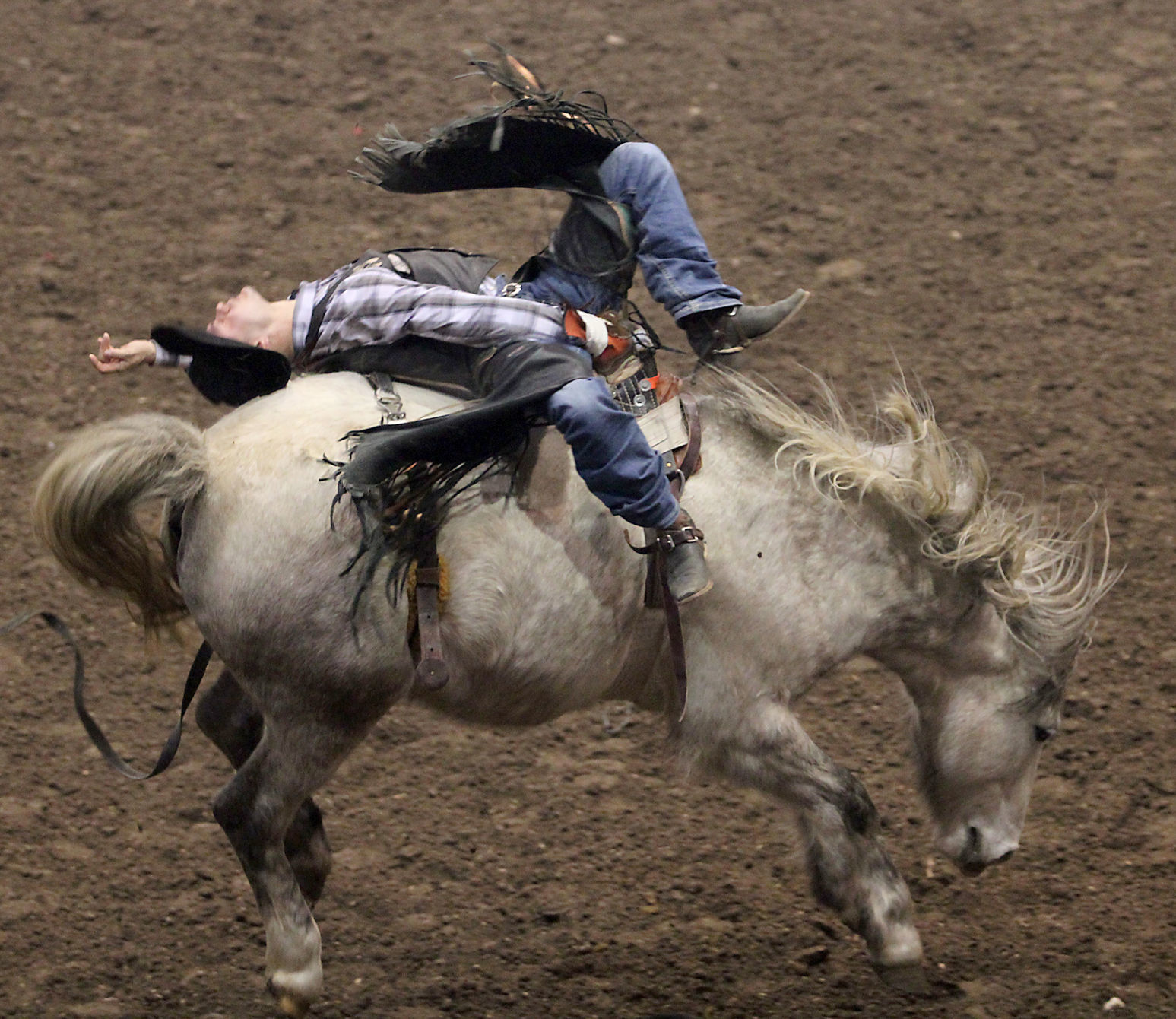 Rodeo 3.jpg